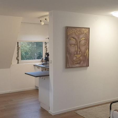 Frisch renoviert mit Dachterrasse - Genieße Ruhe und Grün nahe Neustadt Aisch Neustadt an der Aisch Exterior foto