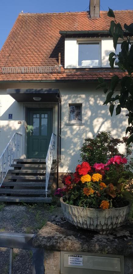 Frisch renoviert mit Dachterrasse - Genieße Ruhe und Grün nahe Neustadt Aisch Neustadt an der Aisch Exterior foto