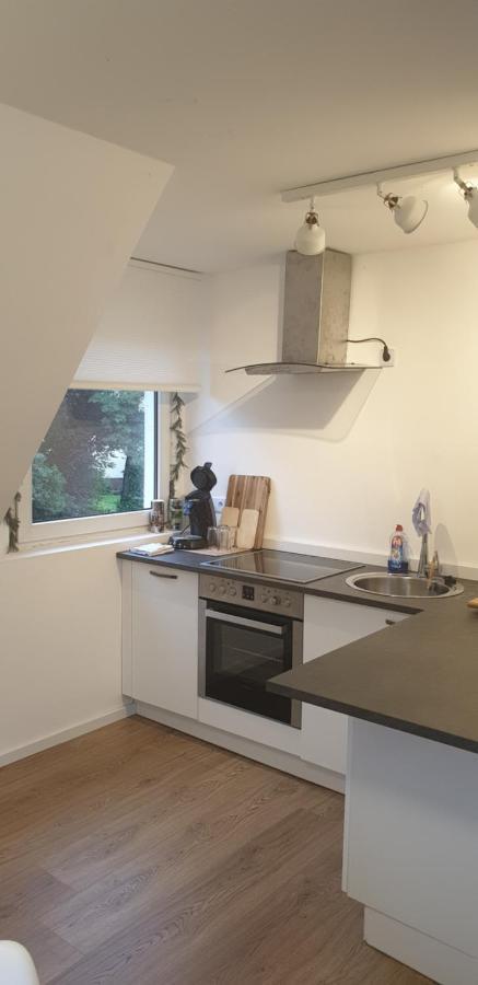 Frisch renoviert mit Dachterrasse - Genieße Ruhe und Grün nahe Neustadt Aisch Neustadt an der Aisch Exterior foto